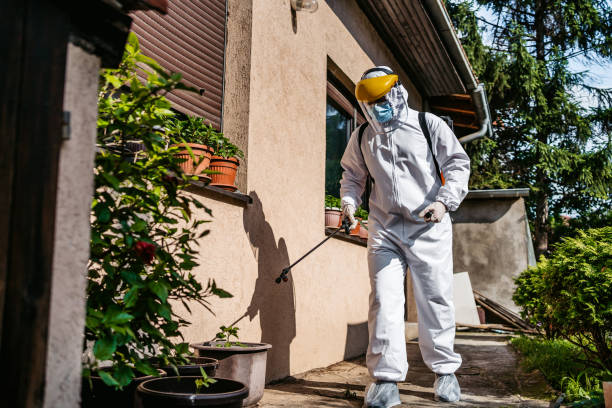 Best Residential Pest Control  in South Wilton, CT