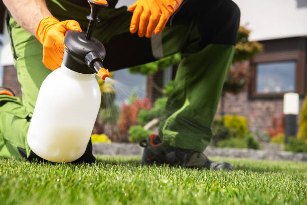 Best Best Pest Control Companies  in South Wilton, CT