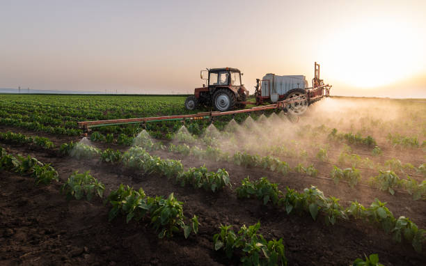 Reliable South Wilton, CT Pest Control Solutions
