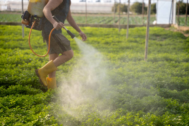 Best Affordable Pest Control Services  in South Wilton, CT