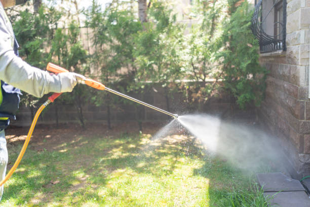 Best Insect Control  in South Wilton, CT